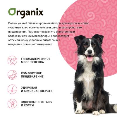 Organix корм гипоаллергенный для собак Cредних и Крупных пород (Ягненок)